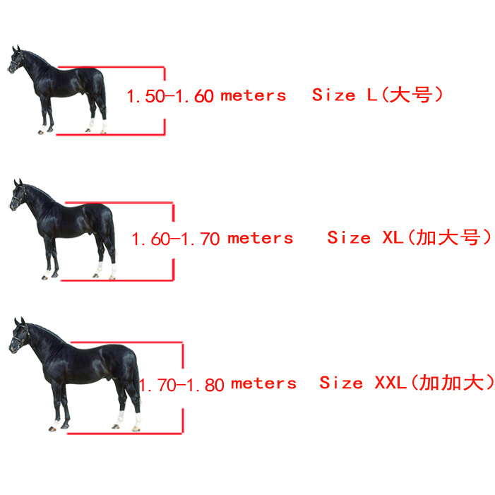 1736216845690 1736216845690